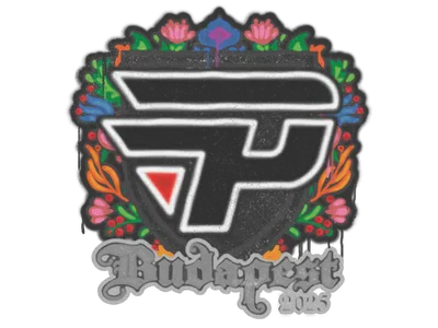 Sealed Graffiti | paiN Gaming | Budapest 2025