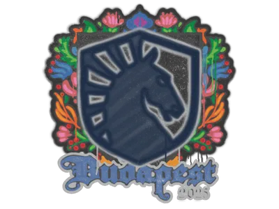 Sealed Graffiti | Team Liquid | Budapest 2025