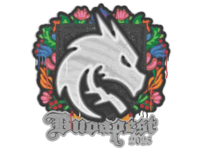 Sealed Graffiti | Team Spirit | Budapest 2025