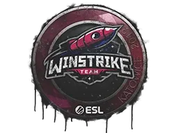 Sealed Graffiti | Winstrike Team | Katowice 2019