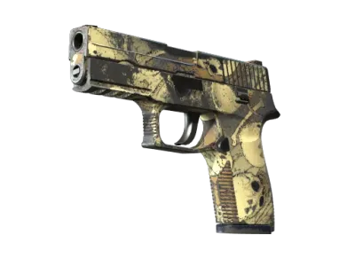 Souvenir P250 | Contamination (Field-Tested)