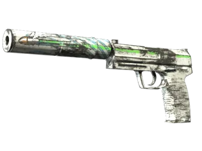 Souvenir USP-S | Road Rash (Minimal Wear)