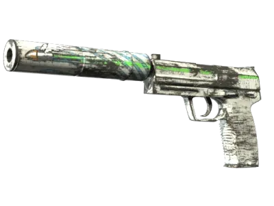 Souvenir USP-S | Road Rash (Well-Worn)