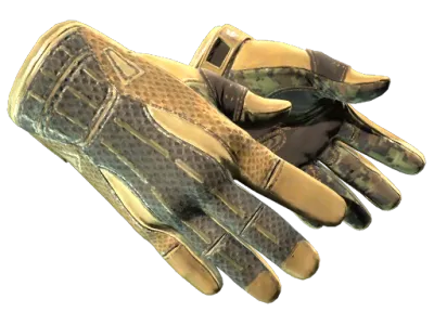 ★ Sport Gloves | Arid (Factory New)