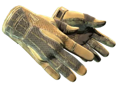 ★ Sport Gloves | Arid (Well-Worn)