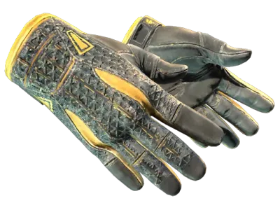 ★ Sport Gloves | Omega (Field-Tested)