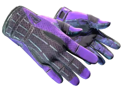 ★ Sport Gloves | Pandora's Box (Well-Worn)