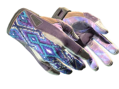 ★ Sport Gloves | Violet Beadwork (Well-Worn) skin