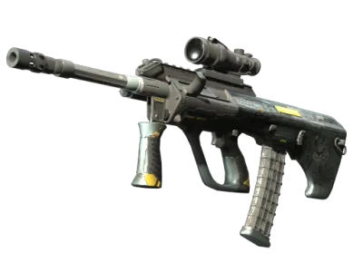 StatTrak™ AUG | Tom Cat (Field-Tested)