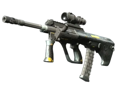 StatTrak™ AUG | Tom Cat (Minimal Wear)