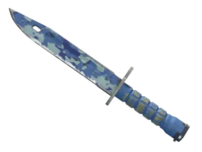 ★ StatTrak™ Bayonet | Bright Water (Well-Worn)