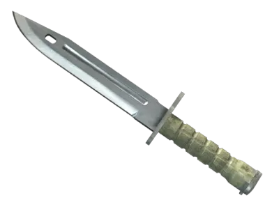 ★ StatTrak™ Bayonet