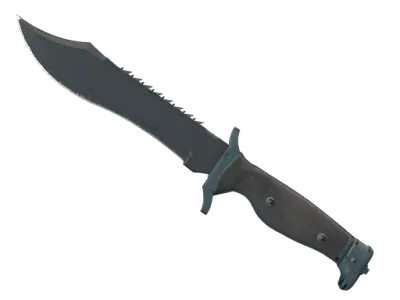 ★ StatTrak™ Bowie Knife | Night