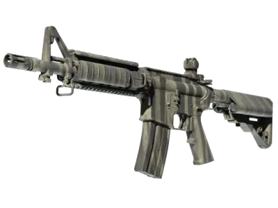 StatTrak™ M4A4 | Faded Zebra (Minimal Wear)