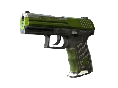 StatTrak™ P2000 | Turf