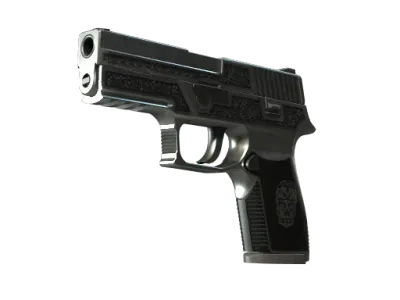 StatTrak™ P250 | Cartel (Field-Tested) skin