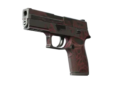 StatTrak™ P250 | Contaminant