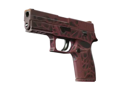 StatTrak™ P250 | Contaminant