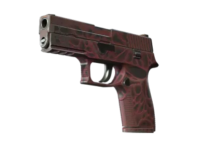 StatTrak™ P250 | Contaminant