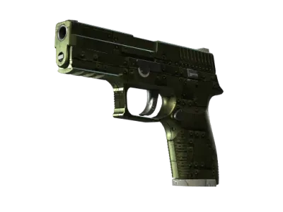StatTrak™ P250 | Iron Clad