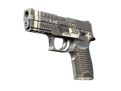 StatTrak™ P250 | Re.built