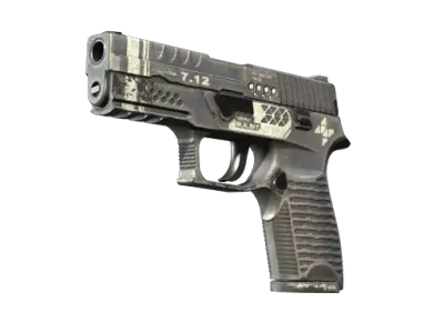 StatTrak™ P250 | Re.built