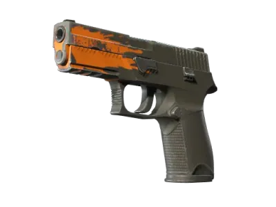 StatTrak™ P250 | Splash