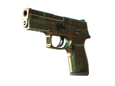 StatTrak™ P250 | Verdigris