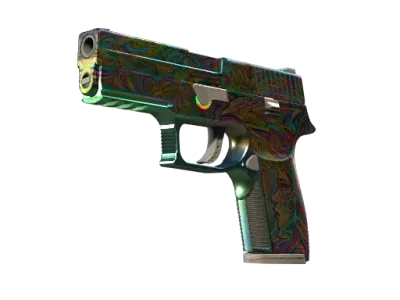 StatTrak™ P250 | Visions (Well-Worn)