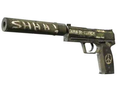 StatTrak™ USP-S | Flashback (Field-Tested)