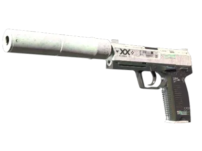 StatTrak™ USP-S | Printstream (Battle-Scarred)