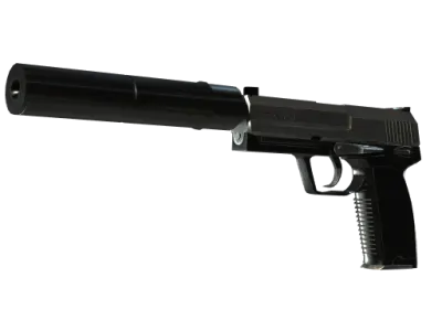 StatTrak™ USP-S | Stainless (Field-Tested)