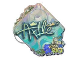 Sticker | Ax1Le (Holo) | Rio 2022