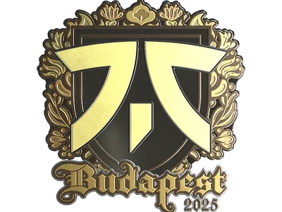 Sticker | fnatic (Gold) | Budapest 2025