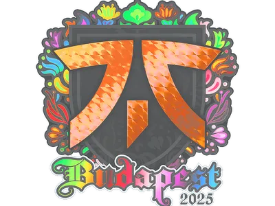 Sticker | fnatic (Holo) | Budapest 2025