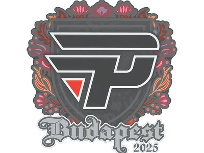 Sticker | paiN Gaming | Budapest 2025