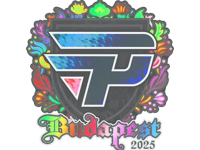 Sticker | paiN Gaming (Holo) | Budapest 2025