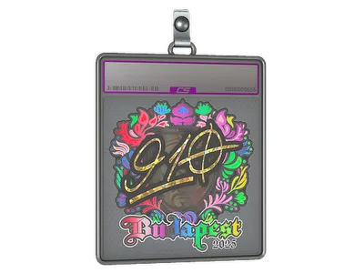 Sticker Slab | 910 (Holo) | Budapest 2025