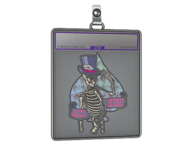 Sticker Slab | Aces High (Holo)