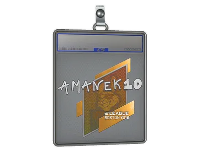 Sticker Slab | AmaNEk | Boston 2018