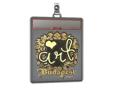 Sticker Slab | arT (Gold) | Budapest 2025