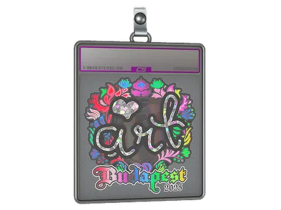 Sticker Slab | arT (Holo) | Budapest 2025