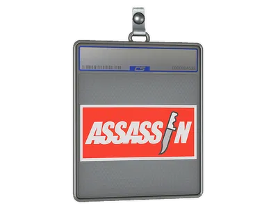 Sticker Slab | Assassin