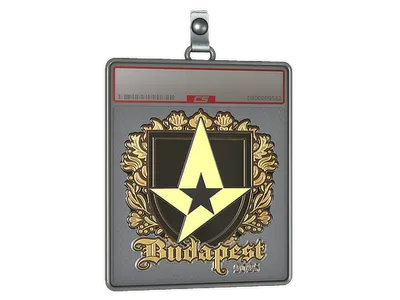 Sticker Slab | Astralis (Gold) | Budapest 2025