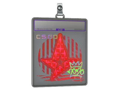 Sticker Slab | Astralis (Holo) | 2020 RMR