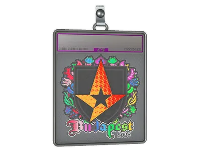 Sticker Slab | Astralis (Holo) | Budapest 2025