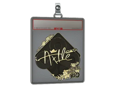 Sticker Slab | Ax1Le (Gold) | Rio 2022