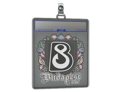 Sticker Slab | B8 | Budapest 2025