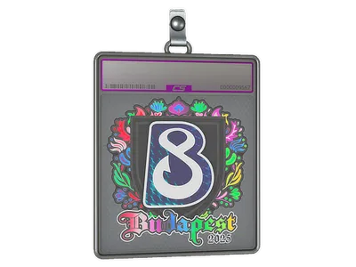 Sticker Slab | B8 (Holo) | Budapest 2025