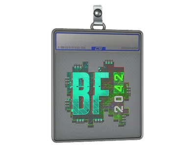 Sticker Slab | BF 2042